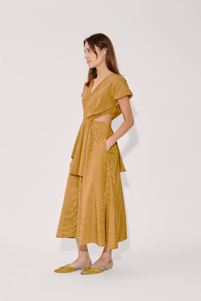 Swept Away Dress in Moire Tracee