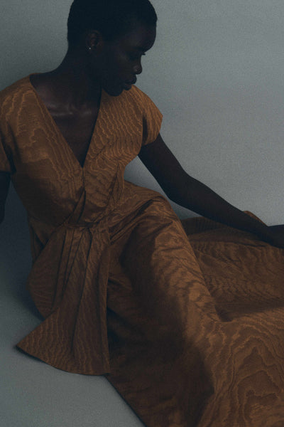 Swept Away Dress in Moire Tracee