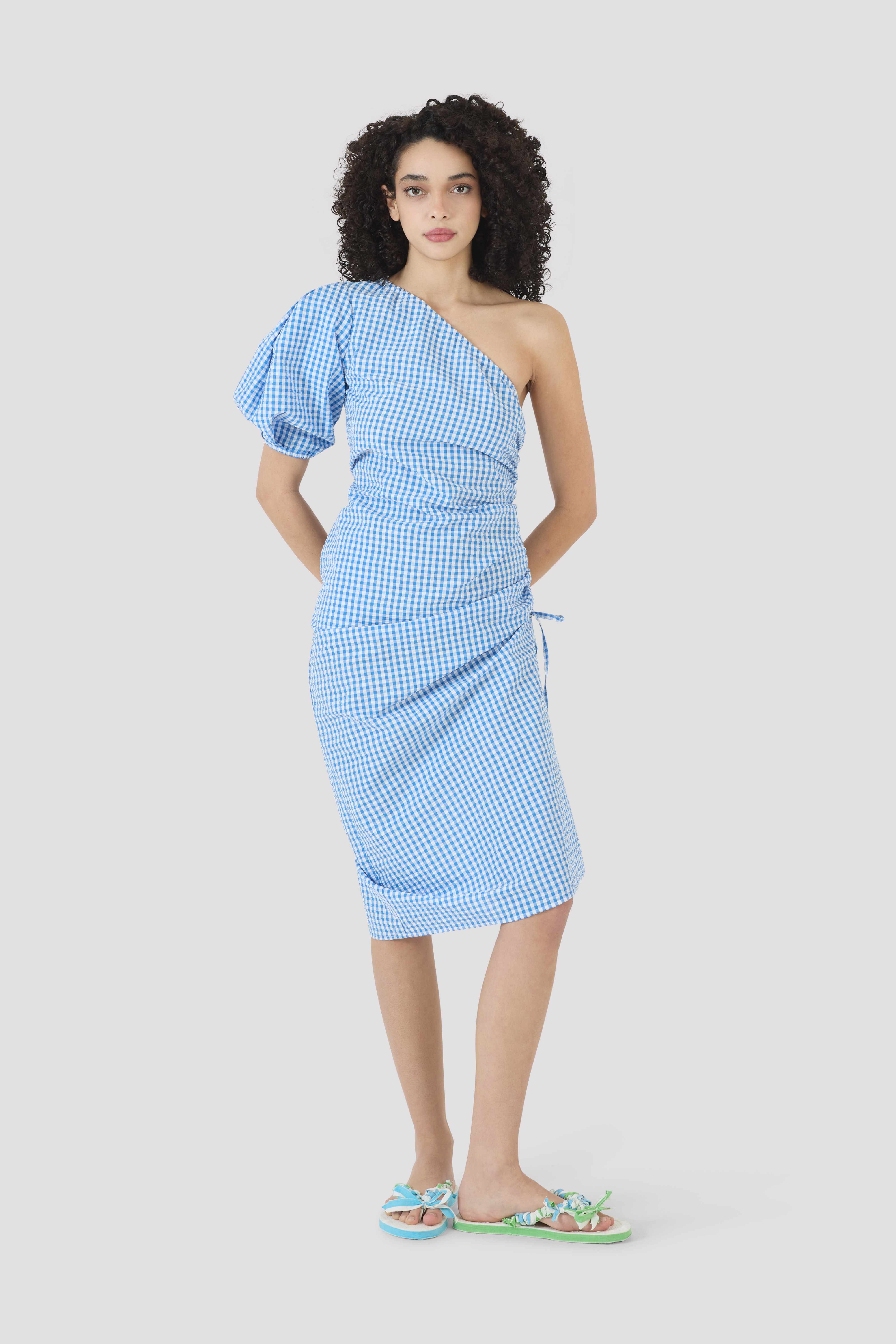 One Shoulder Puff Sleeve Dress in Seersucker Gingham – Rosie Assoulin