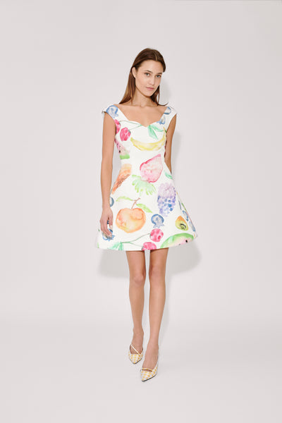 Halo Mini Dress in Fruit Cotton Faille