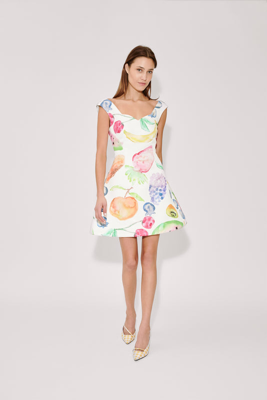 Halo Mini Dress in Fruit Cotton Faille