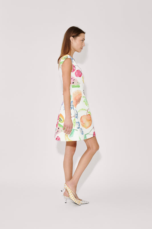 Halo Mini Dress in Fruit Cotton Faille