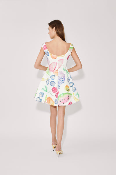 Halo Mini Dress in Fruit Cotton Faille