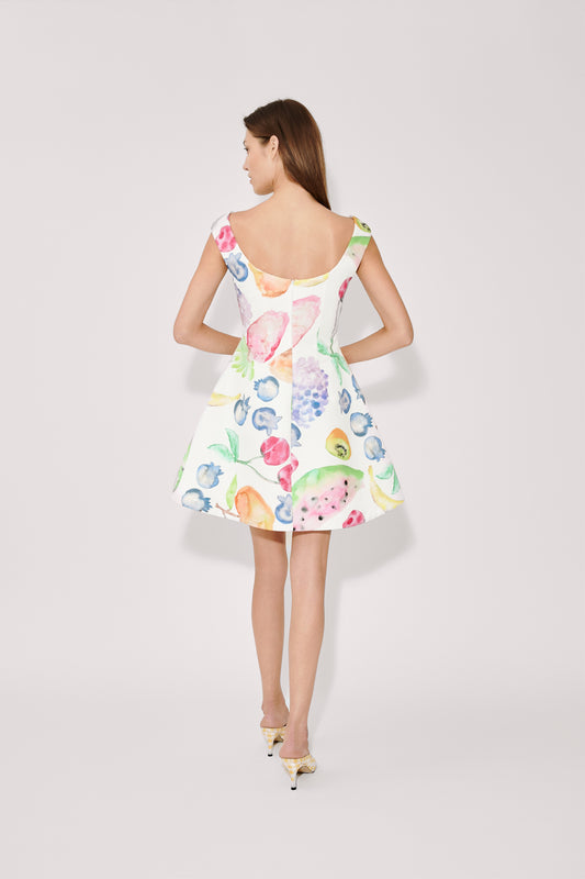 Halo Mini Dress in Fruit Cotton Faille