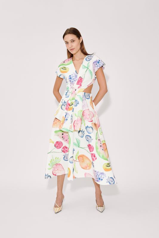 Swept Away Dress in Fruit Cotton Faille