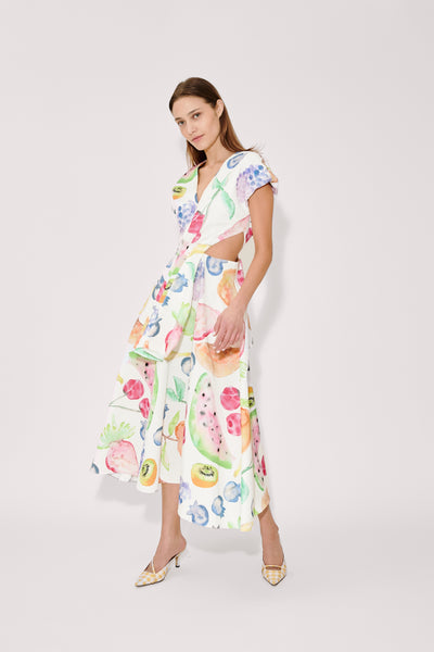 Swept Away Dress in Fruit Cotton Faille
