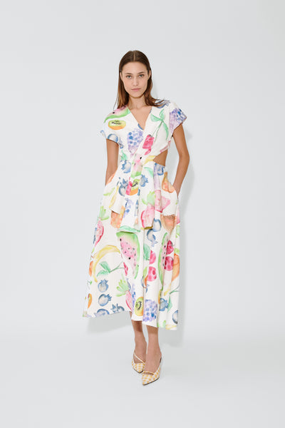 Swept Away Dress in Fruit Cotton Faille