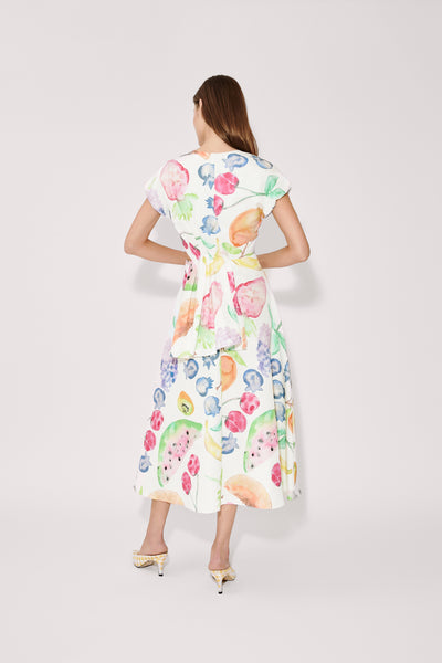 Swept Away Dress in Fruit Cotton Faille