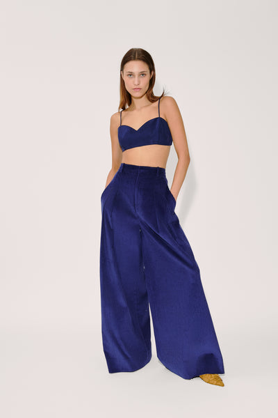 Wide Leg Pleat Pleat Pants in Wide Wale Corduroy