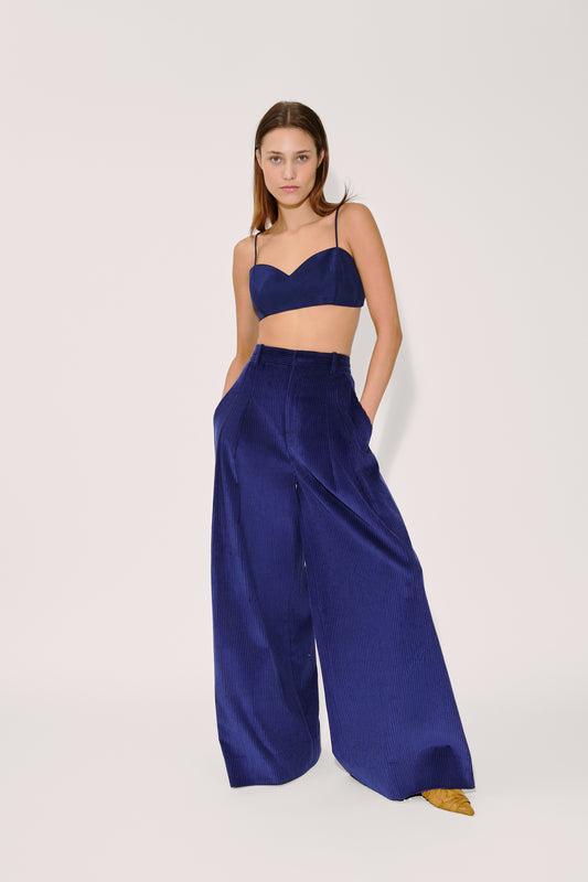 Wide Leg Pleat Pleat Pants in Wide Wale Corduroy