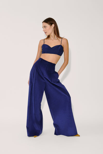 Wide Leg Pleat Pleat Pants in Wide Wale Corduroy