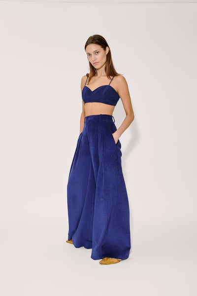Wide Leg Pleat Pleat Pants in Wide Wale Corduroy