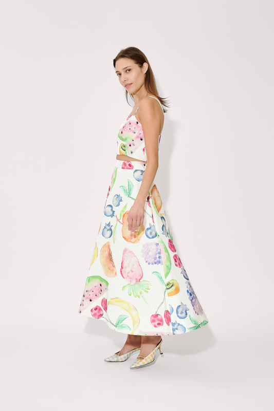 A-Line Skirt in Fruit Cotton Faille