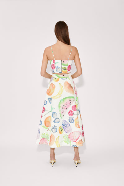 A-Line Skirt in Fruit Cotton Faille