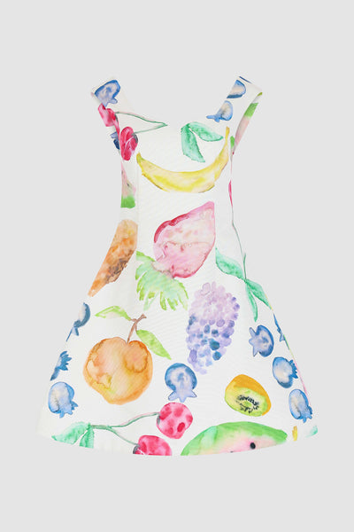 Halo Mini Dress in Fruit Cotton Faille