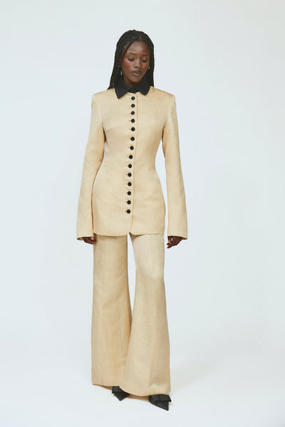 Paneled & Piped Flare Pant in Malta Linen Jacquard