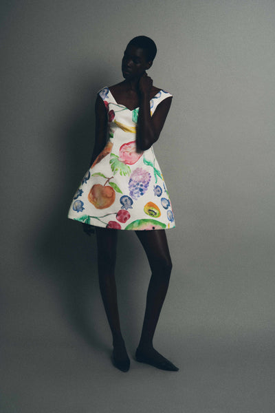 Halo Mini Dress in Fruit Cotton Faille